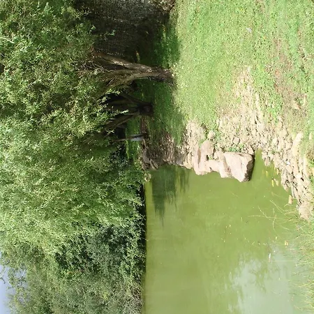 Manoir De La Baronnie Marcei