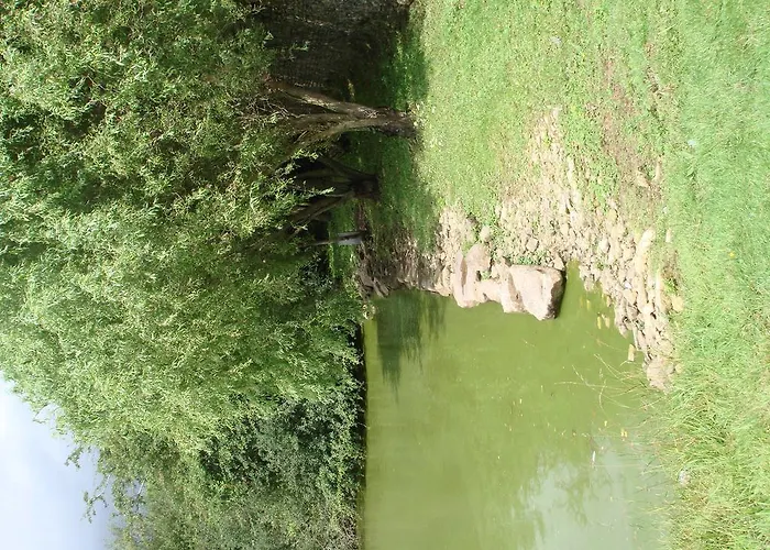 Manoir De La Baronnie Marcei