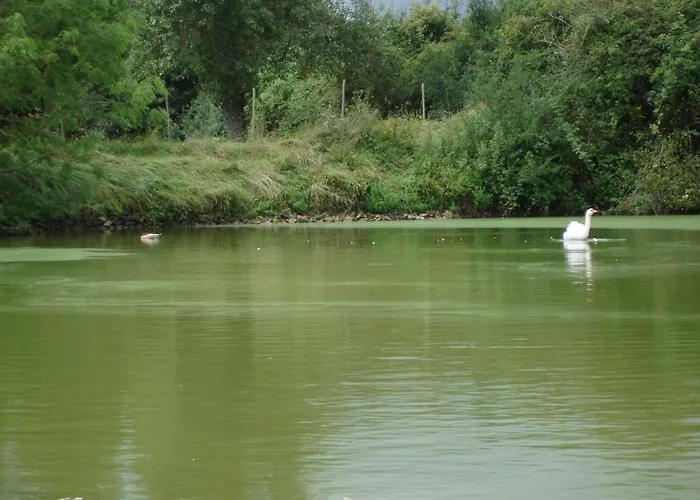 Manoir De La Baronnie 3*